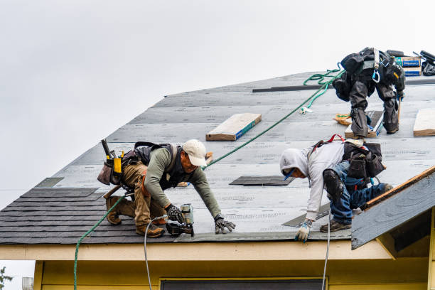 Professional Gutter Installation technician working in Clayton, NM